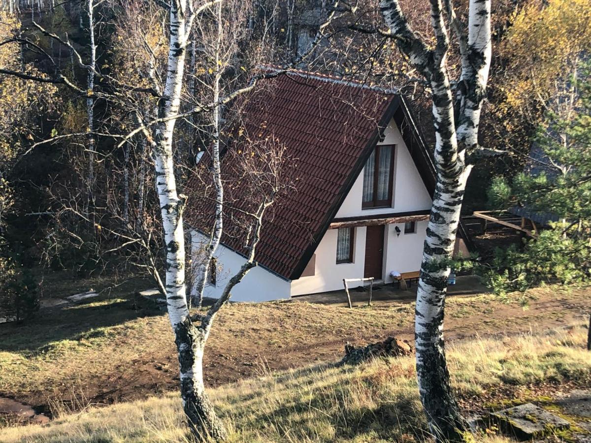 Vikendica Stojanovic Villa Mionica Exterior photo